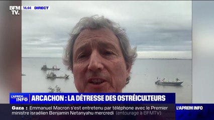 Huîtres du Bassin d'Arcachon interdites à la vente: "C'est un coup très dur apporté à la filière", explique cet ostréiculteur du Cap Ferret