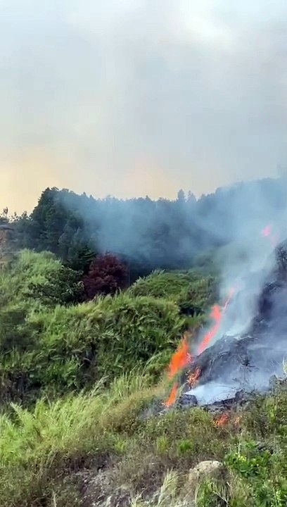 Incendio Cerro Quitasol
