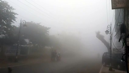 सुबह से शाम तक सिर्फ कोहरा...ही कोहरा !