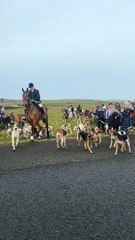 East Cornwall Hunt at Bolventor, Cornwall