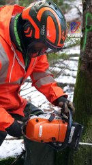 On a passé une journée avec les élèves de l'école !