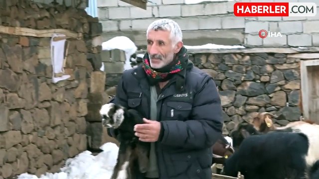 Muş'ta yüksek rakımlı köyler kara gömüldü