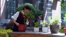鸣龙少年 第18集