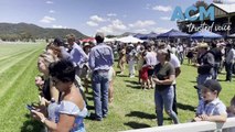 Quirindi's Boxing Day races | December 26, 2023 | Northern Daily Leader