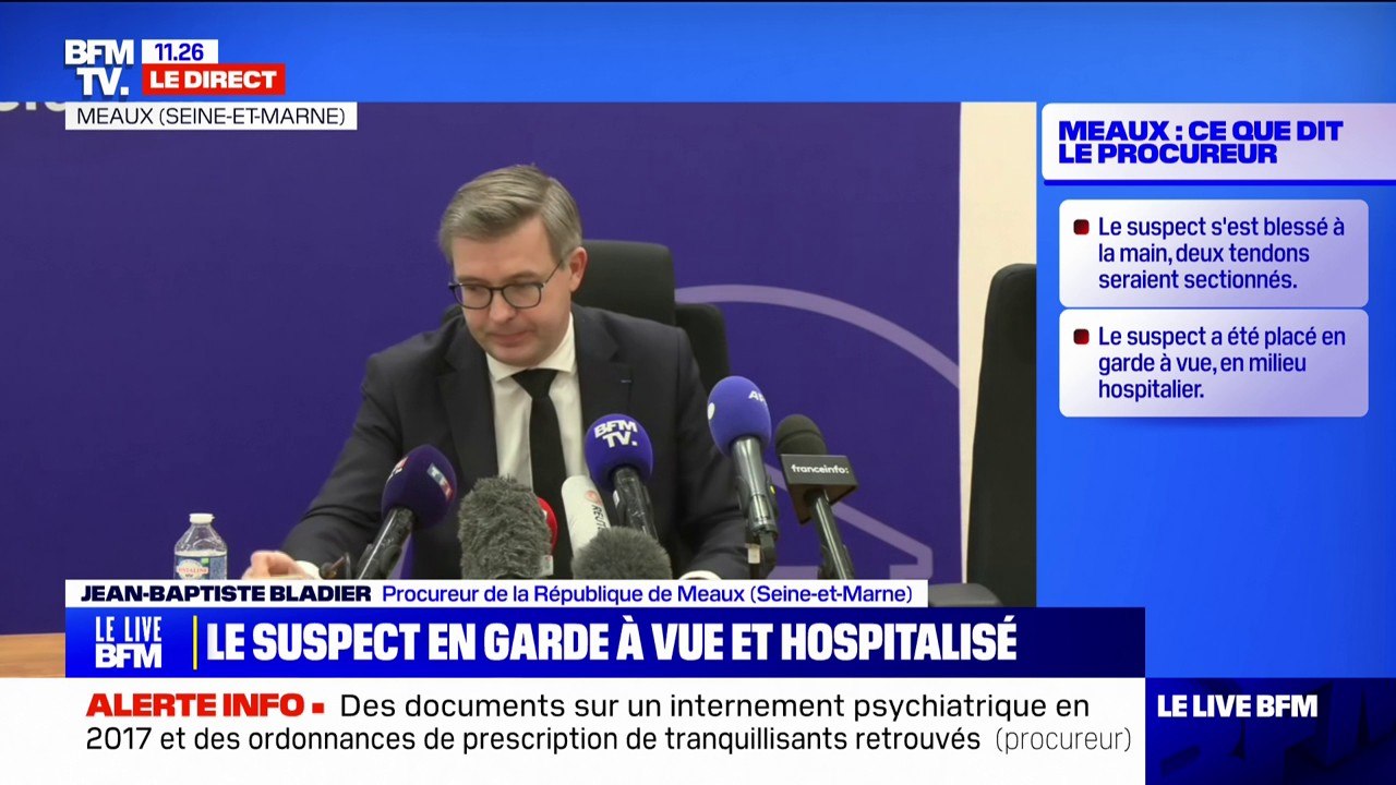 Cinq corps retrouvés à Meaux: une information judiciaire est ouverte pour "homicides volontaires sur mineurs et homicide volontaire par conjoint", affirme le procureur de la République