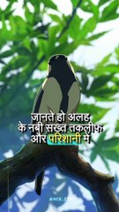 Allah ke nabi sakht pareshani or takleef me konsi dua padha kerte the