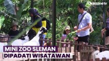Libur Nataru 2023, Lokasi Wisata Mini Zoo Sleman Diserbu Pengunjung