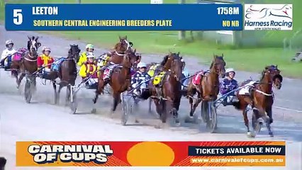 Mr Bondi wins the MIA Breeders Plate