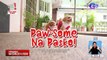 Isang pamilya kasama ang kanilang 17 na aso, may pa-Aguinaldo sa pet shelter! | Dapat Alam Mo!