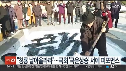 "새해 청룡 날아올라라"…국회 '국운상승' 대형 붓글씨 퍼포먼스