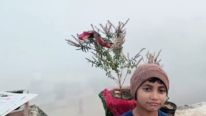 कोहरे का राज: सड़कों पर 10 मीटर भी नहीं दिखाई दे रहा साफ