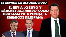 Alfonso Rojo: “El Rey a lo suyo y Sánchez agarrado, como guacamayo a percha, a enemigos de España”