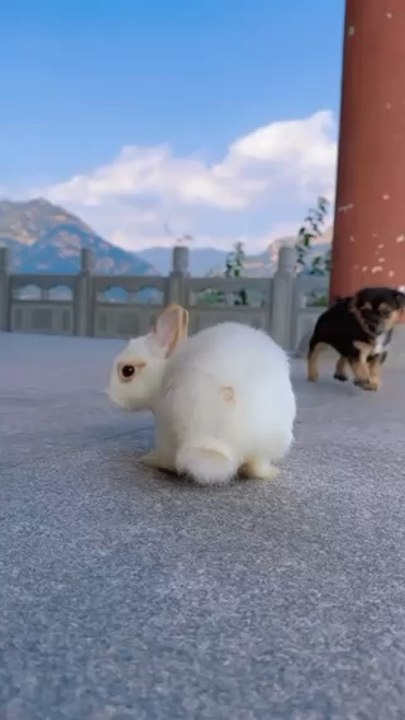 Hier ist mein neuestes Video