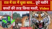 Viral Video: Pilibhit में Tiger को देख दहशत | Pilibhit Tiger Video | वनइंडिया हिंदी