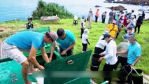 Taiwan's Fisheries Aim for Sustainability When Seeding Seas