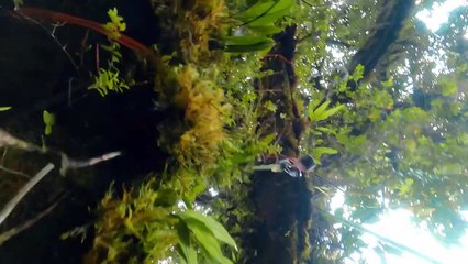 Between Earth and Sky Trailer Official Trailer