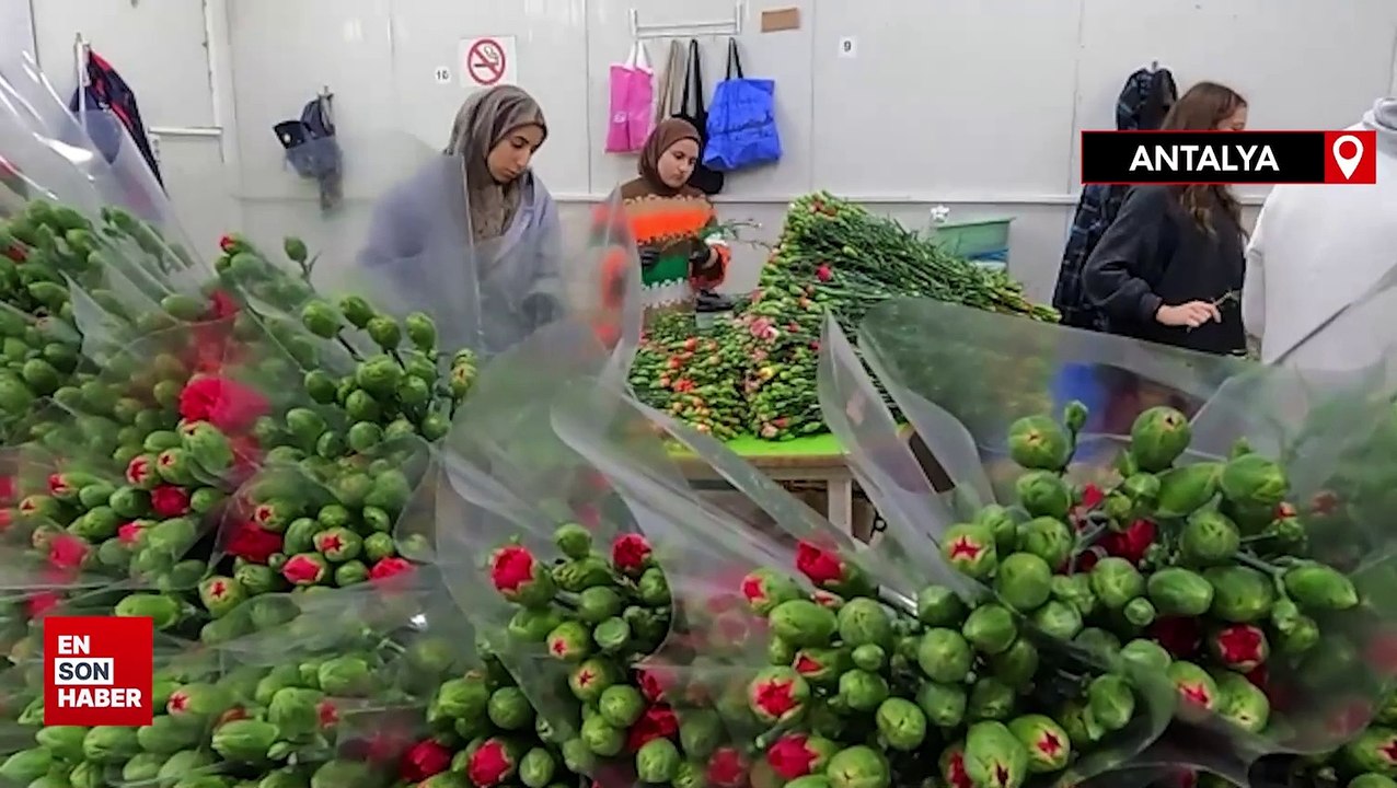 Türkiye'den 73 ülkeye 140 milyon dolarlık çiçek ihracatı