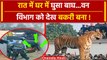 Viral Video: Pilibhit में Tiger को देख हैरान लोग | वनइंडिया हिंदी #Shorts