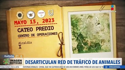 Desmantelan red de tráfico de animales en peligro de extinción en CDMX