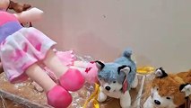Unboxing and Review of FunZoo soft toys dolls, dogs, panda for kids gift