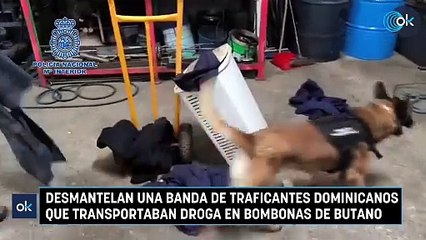 Desmantelan una banda de traficantes dominicanos que transportaban droga en bombonas de butano