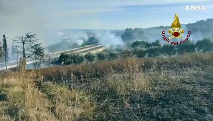 Incendi lungo la A14, spente le fiamme