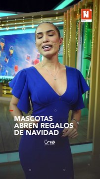 Ternura en TikTok: perritos abren sus regalos de Navidad