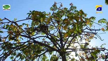 Mannat Murad Episode 27 - [Eng Sub] - Digitally Presented by Jhalak Beauty Cream - 26th Dec 2023