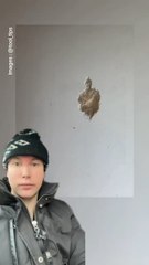Cacher un trou dans un mur avec j’une feuille de papier