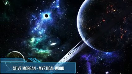 Stive Morgan - Mystical Wood.Ext