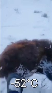 L'hiver au Kazakhstan... froid, très froid