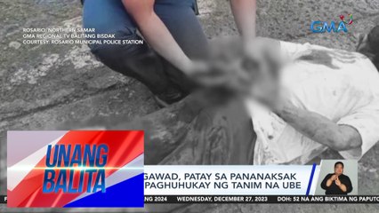 Barangay kagawad, patay sa pananaksak dahil daw sa paghuhukay ng tanim na ube | UB