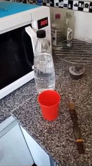 Trucos Rápidos: Mantén tu Olla Eléctrica Reluciente