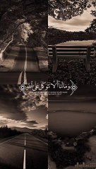 من اجمل التلاوات الخاشعه_ حالات واتساب