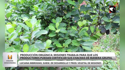 Misiones trabaja para lograr una certificación grupal para la producción orgánica