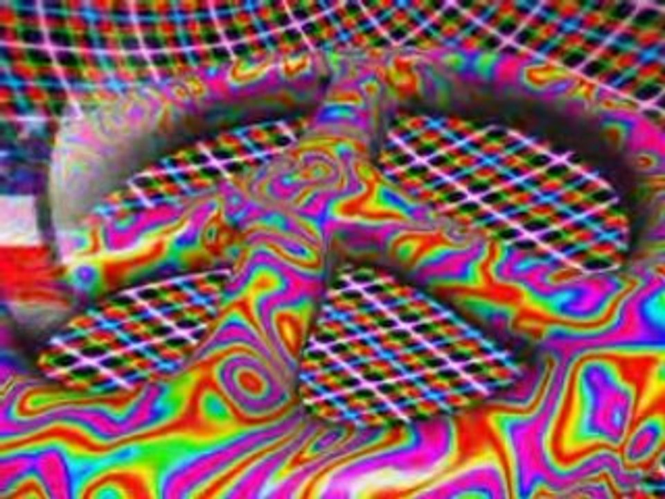 Imagine Peace
