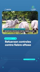 Refuerzan controles contra fiebre aftosa
