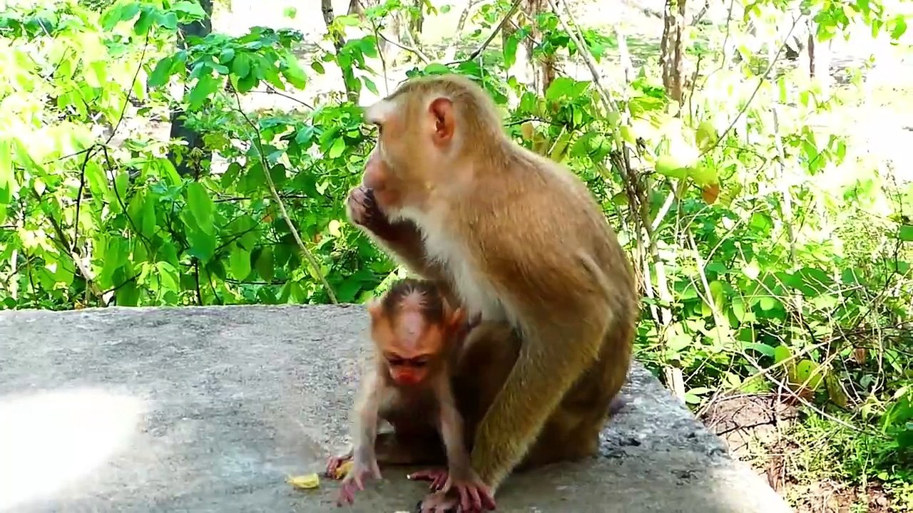 Mother Sarika Motivates Baby Saro To Walk Faster (720p_25fps_H264-192kbit_AAC)