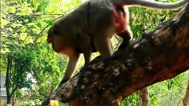 Newborn baby look bad face, face become so dark, look pity baby (720p_25fps_H264-192kbit_AAC)