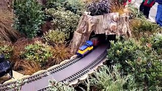 The Model Christmas Train in Washington DC