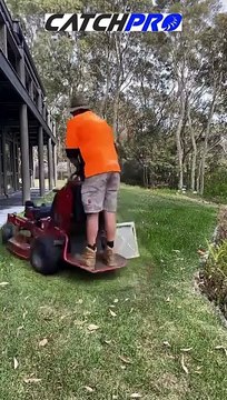 Mastering Garden Care Essential Tools and Techniques Revealed