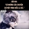 Cuộc sống này! có những câu chuyện một mình hiểu là đủ rồi..!