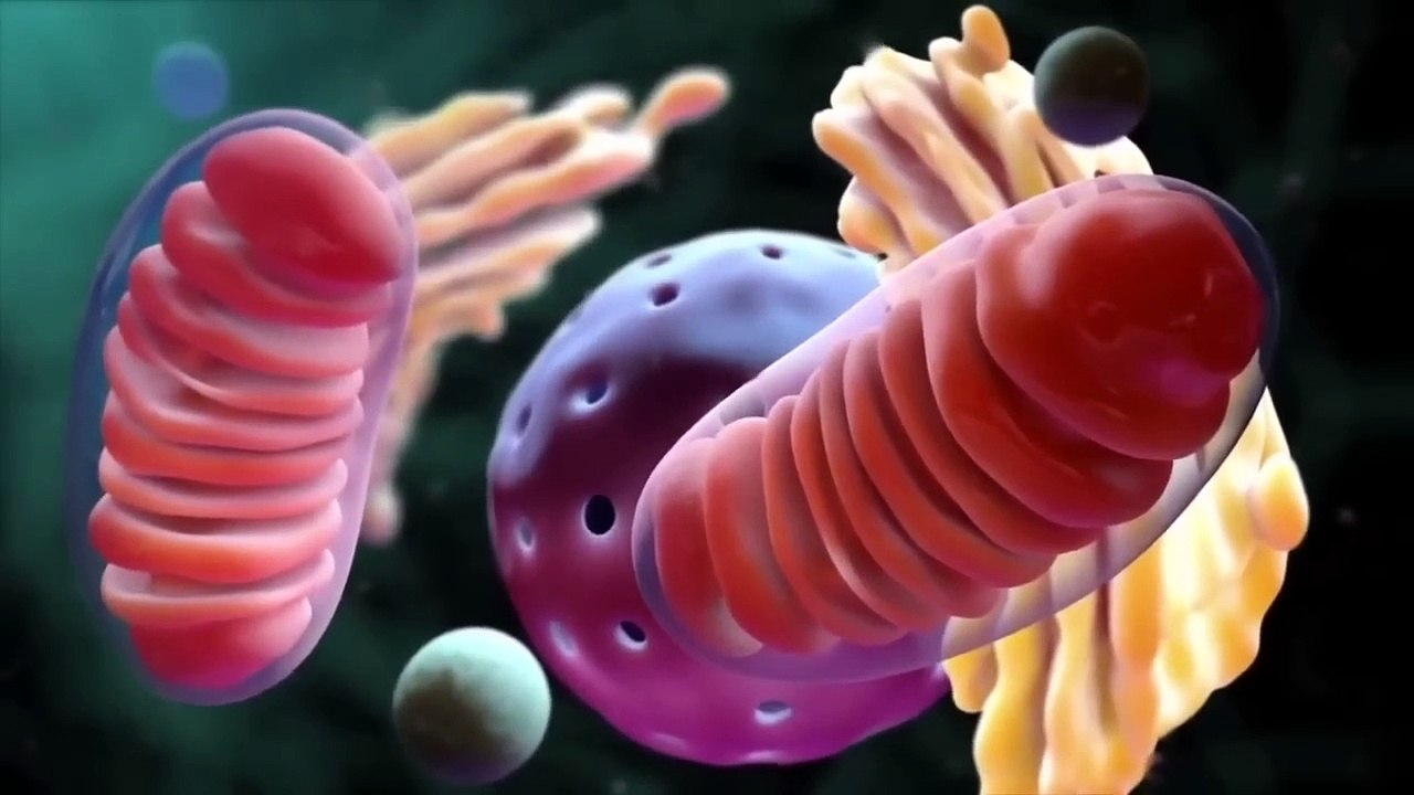 Healthiest Oils To Use + GERD + 3 Causes of Constant Mucus (Phlegm)