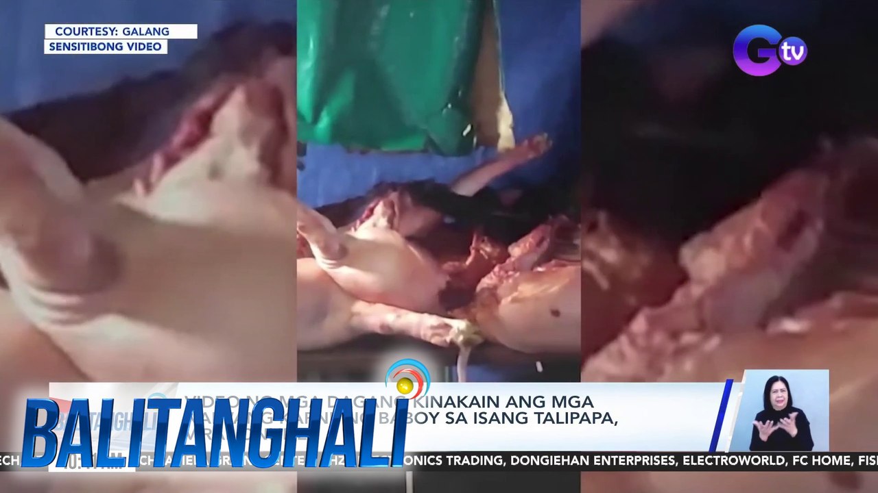 Video ng mga dagang kinakain ang mga naiwang karne ng baboy sa isang talipapa, viral online| BT