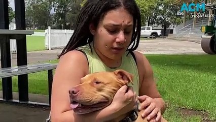 Bossy the Figtree rescue dog | December 27,2023 | Illawarra Mercury