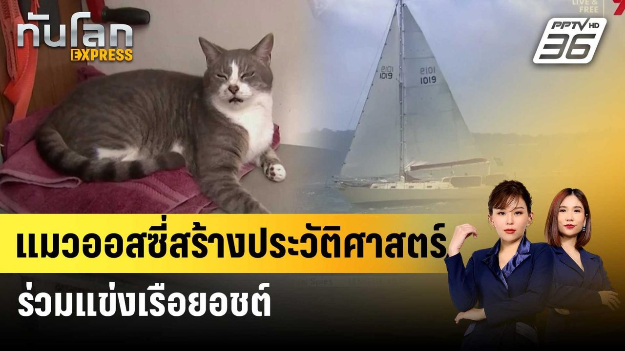 แมวออสซี่สร้างประวัติศาสตร์ร่วมแข่งเรือยอชต์ |...