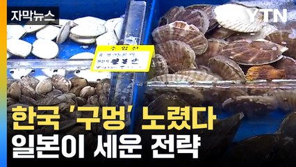 일본, 한국 시장 공략 강화…가리비 판매 전략에 숨은 의도는? 🇯🇵