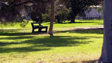 Climate change affecting health of asthmatic Australians