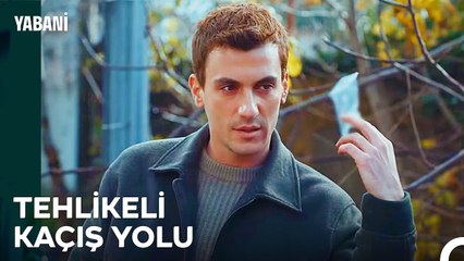 Alaz Çareyi Cesur'da Buldu - Yabani 16. Bölüm