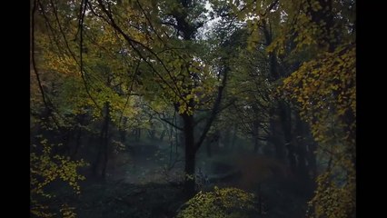 Gretel & Hansel Bande-annonce (EN)